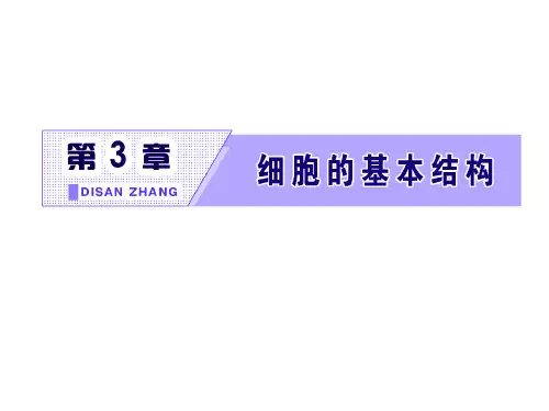 第3节  细胞核的结构和功能