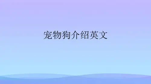 宠物狗介绍英文(精品资料)PPT