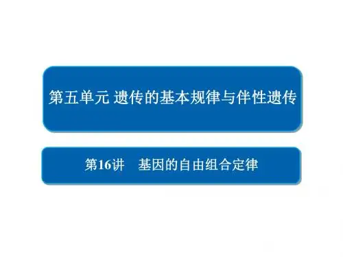 高考生物一轮复习第16讲基因的自由组合定律课件