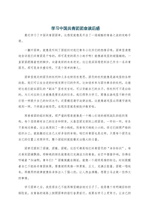 学习中国共青团团章读后感