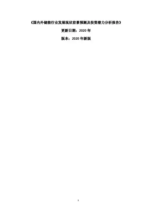 国内外储能行业发展现状前景预测及投资潜力分析报告报告2020-2025