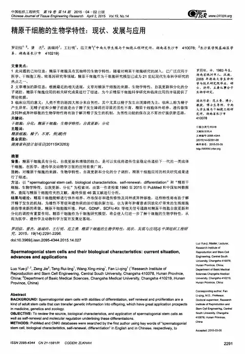 精原干细胞的生物学特性：现状、发展与应用