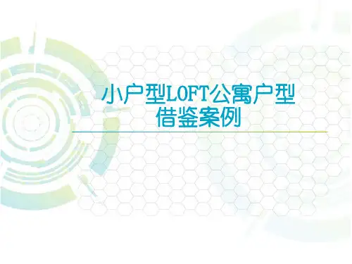 小户型LOFT公寓户型借鉴案例-房地产-2021