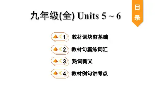 20. 九年级(全) Units 5 ~ 6