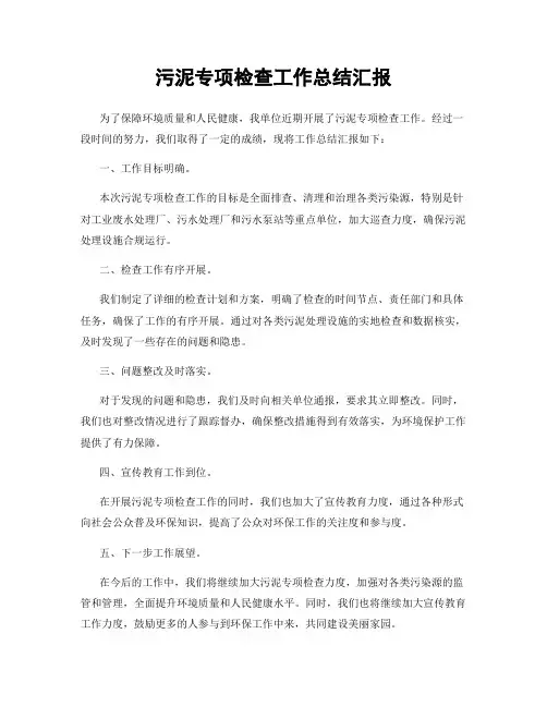 污泥专项检查工作总结汇报