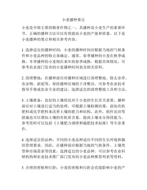 小麦播种要点
