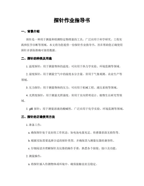 探针作业指导书