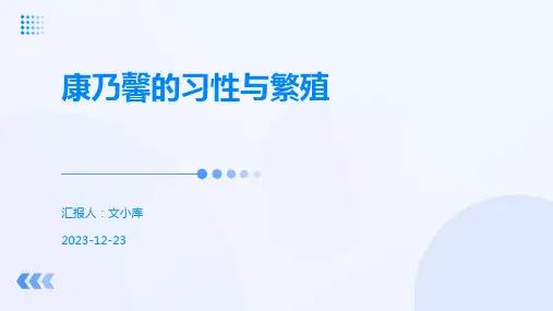 康乃馨的习性与繁殖