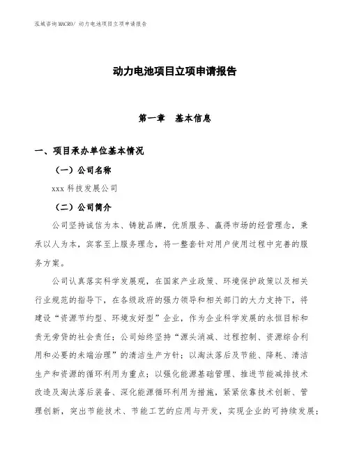 动力电池项目立项申请报告 (6)