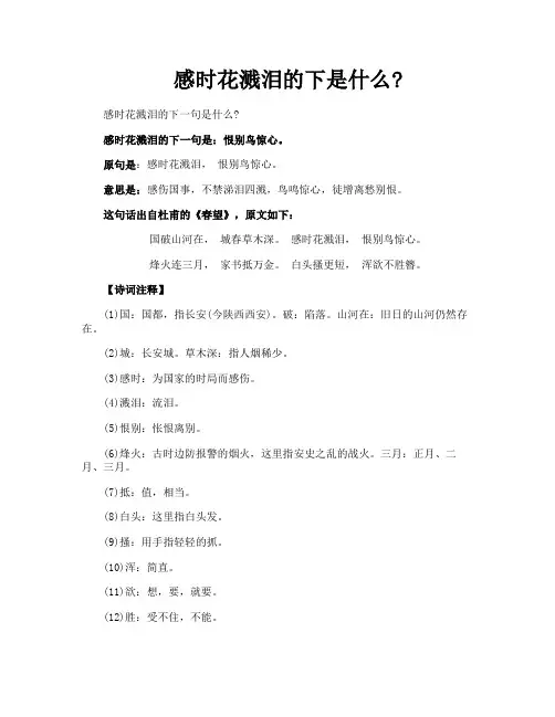 感时花溅泪的下是什么