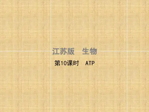 (江苏专版)高考生物一轮复习 第三单元 光合作用和细胞呼吸(第10课时)ATP名师精编课件