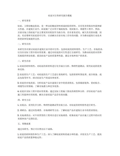硅泥可行性研究报告模板