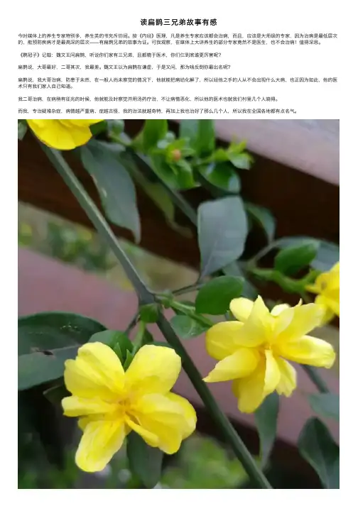 读扁鹊三兄弟故事有感