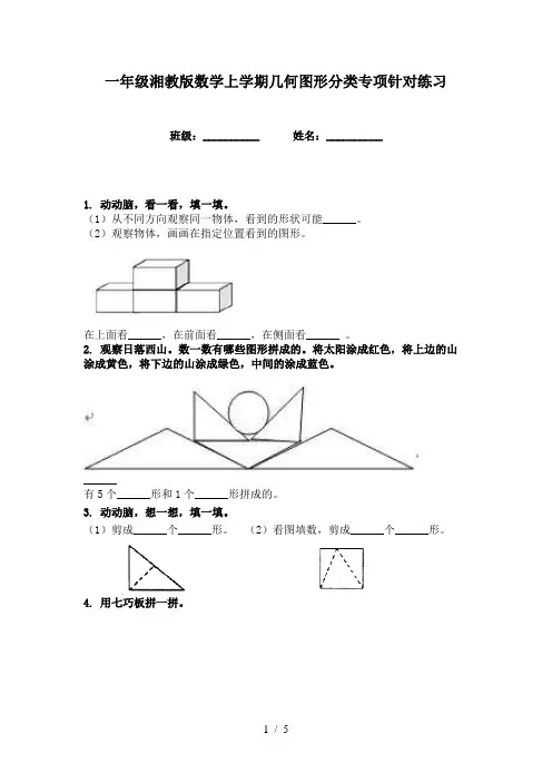 一年级湘教版数学上学期几何图形分类专项针对练习
