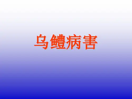 乌鳢病害