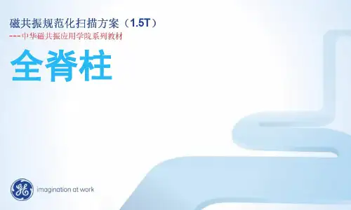 全脊柱规范化扫描方案