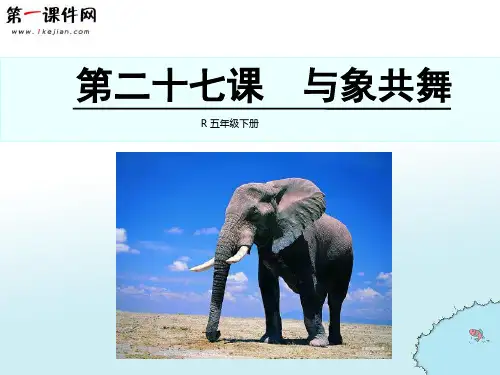 五年级下册27 与象共舞 新课标人教版PPT课件