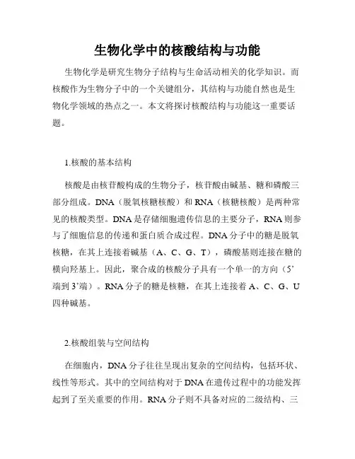 生物化学中的核酸结构与功能