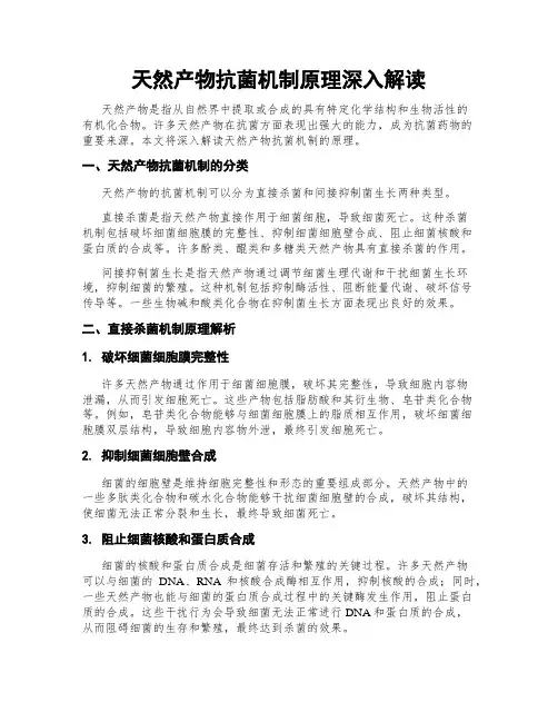 天然产物抗菌机制原理深入解读
