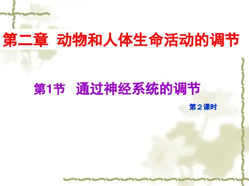 神经细胞间信号传递完整精品PPT课件