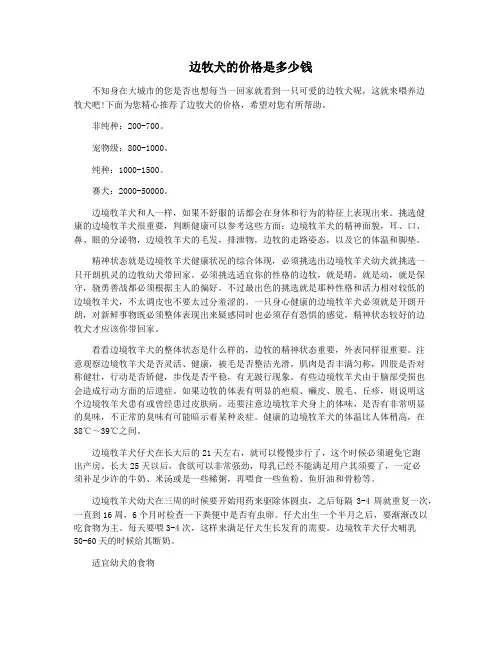边牧犬的价格是多少钱