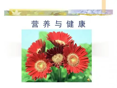 营养与健康2讲解