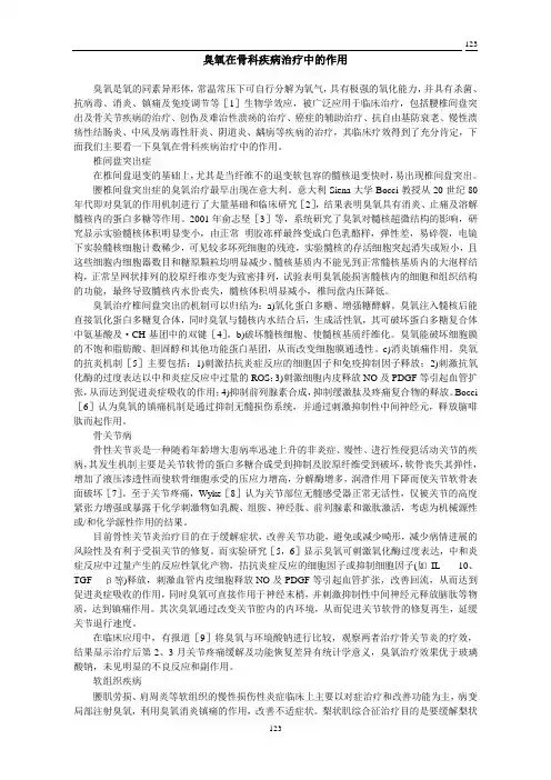 臭氧论文