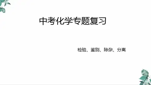 (新)中考化学复习专题物质的鉴别、检验、除杂(23页)