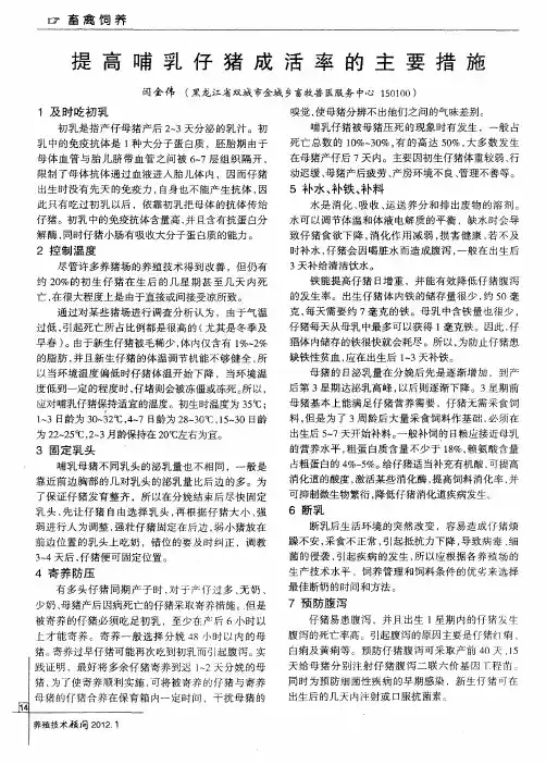 提高哺乳仔猪成活率的主要措施