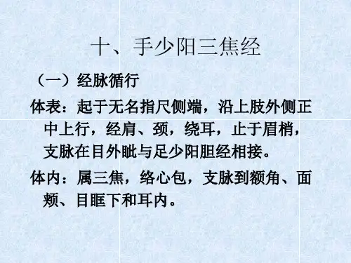 10.手少阳三焦经