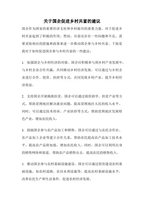 关于国企促进乡村共富的建议