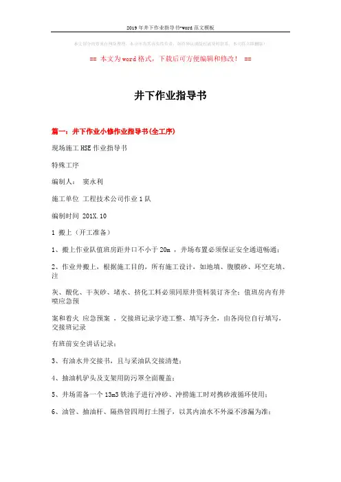 2019年井下作业指导书-word范文模板 (23页)