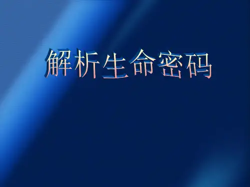 解析生命密码(详细数字组合)