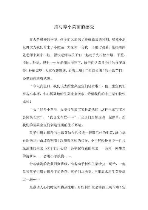 描写养小菜苗的感受