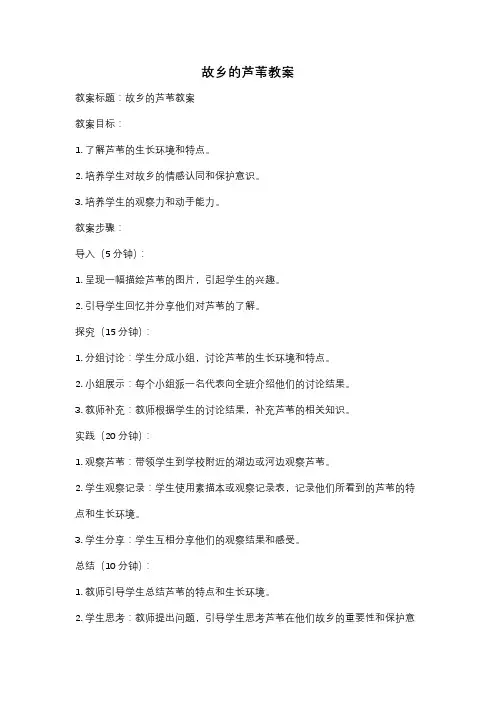 故乡的芦苇教案