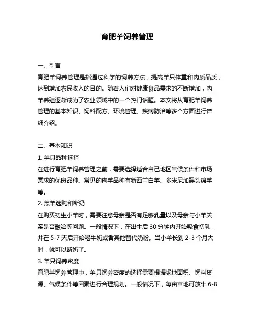 育肥羊饲养管理