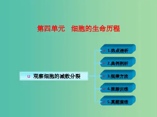 高考生物一轮复习 第四单元 细胞的生命历程 04 观察减数分裂课件 新人教版