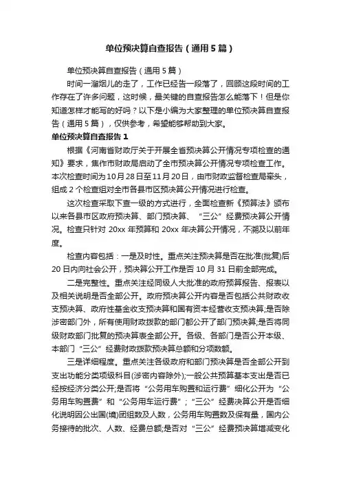 单位预决算自查报告（通用5篇）
