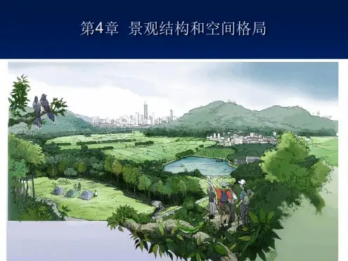 景观结构和空间格局