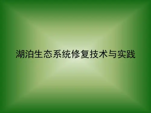 湖泊生态修复
