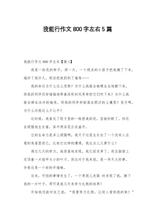 我能行作文800字左右5篇