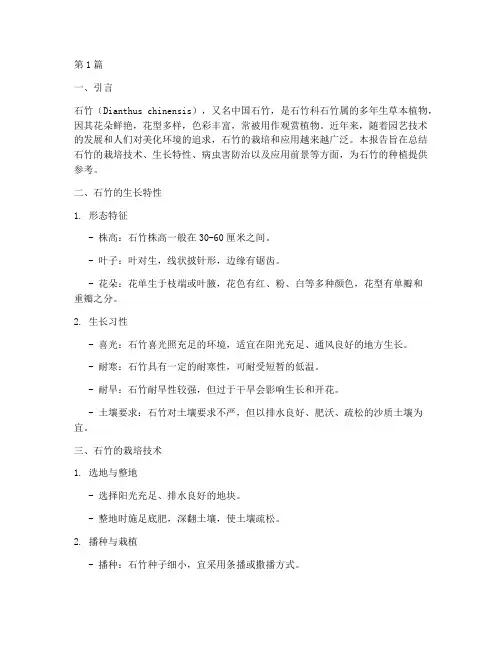 石竹培养总结报告书范文(3篇)