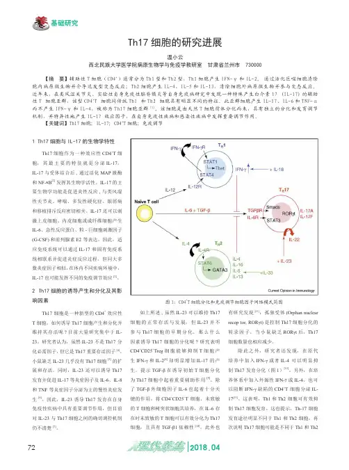 Th17细胞的研究进展