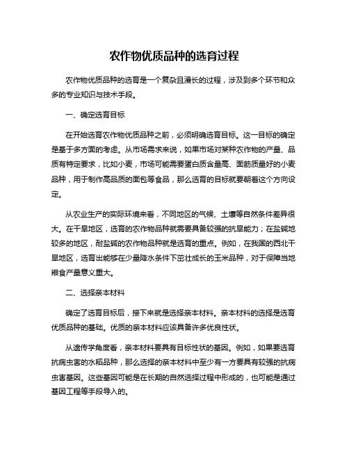 农作物优质品种的选育过程