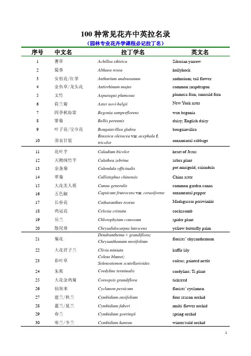 100种常见花卉中英拉名录