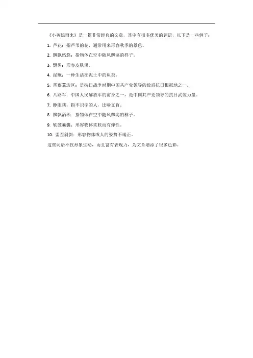 小英雄雨来优美词语