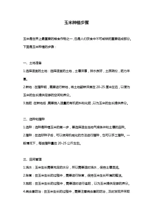 玉米种植步骤