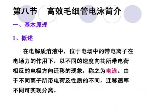 高效毛细管电泳简介