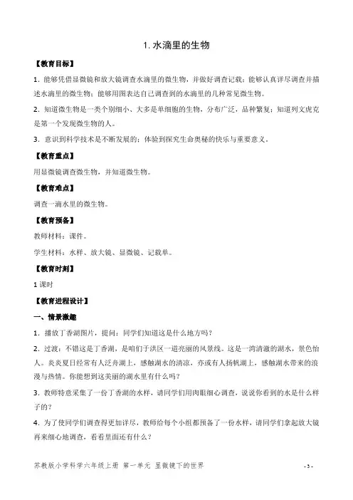 苏教版六年级科学上册《1.水滴里的生物》优质教案