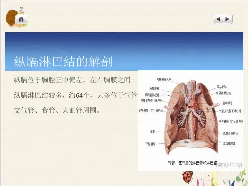 纵膈淋巴结节PPT.